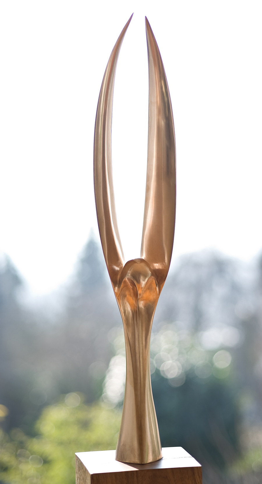 Bronze, Hochglanz Bronze, Hochglanz