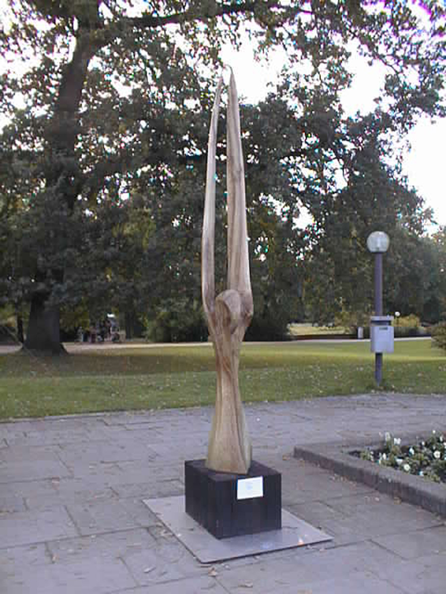 Nussbaum, 1995 Nussbaum, 1995